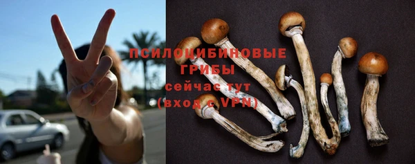 спиды Белоозёрский