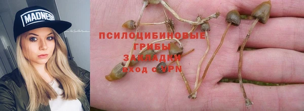 ешки Богданович