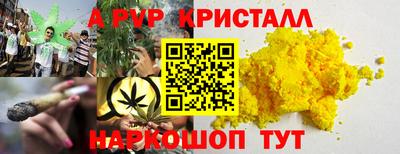 индика Гагарин