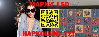 индика Гагарин