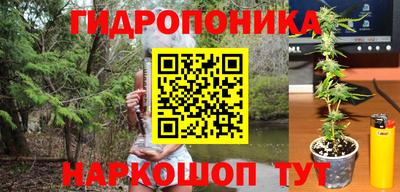 индика Гагарин