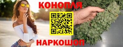 spice Гатчина