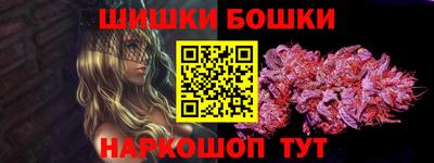 spice Гатчина