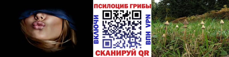 Псилоцибиновые грибы мухоморы  Валуйки 