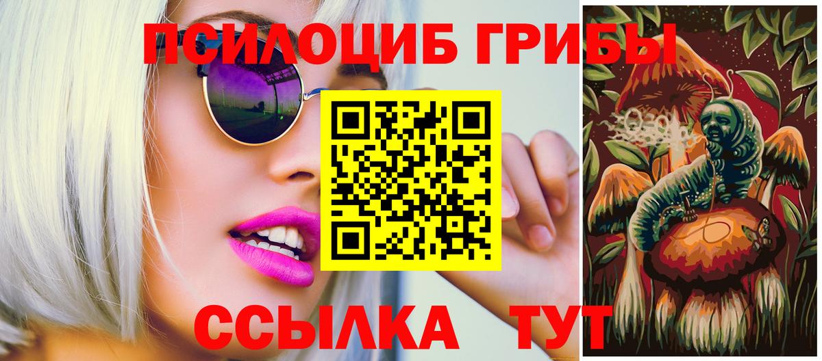 Галлюциногенные грибы прущие грибы  что такое   Валуйки 