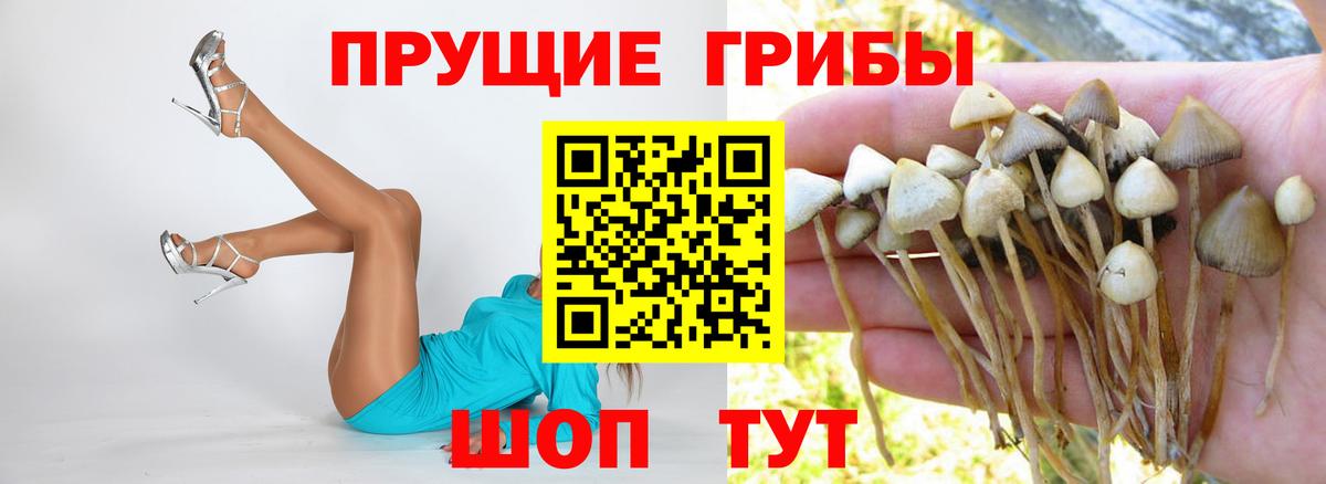Псилоцибиновые грибы MAGIC MUSHROOMS Валуйки