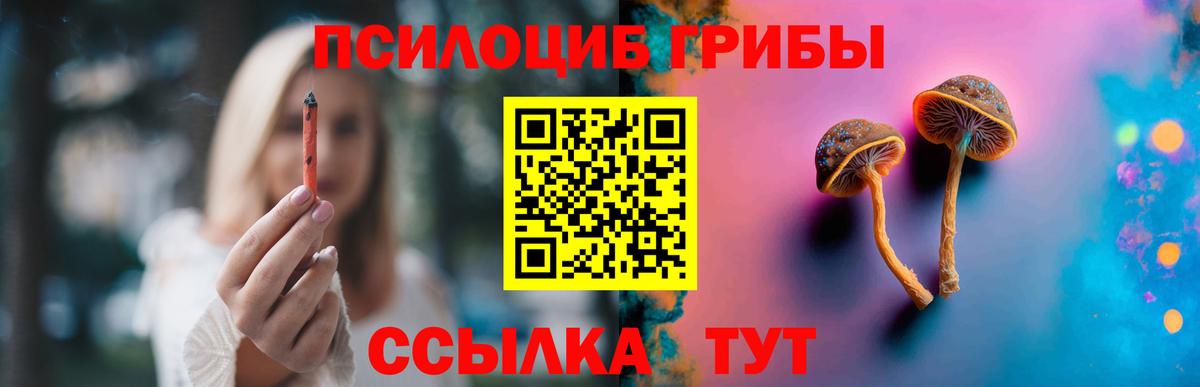 Псилоцибиновые грибы Cubensis  Вход с VPN  Валуйки  Галлюциногенные грибы GOLDEN TEACHER 